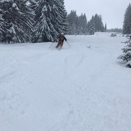 Alpendomizil Pia Apartment Mühlbach am Hochkönig Exterior foto