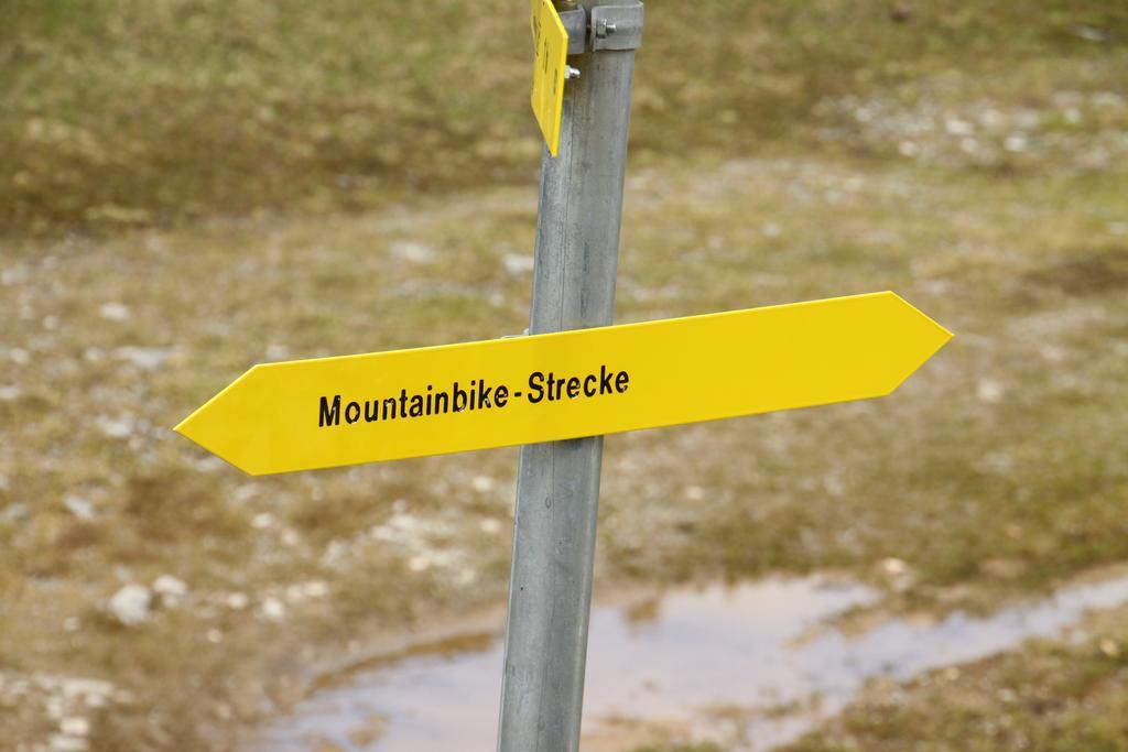 Alpendomizil Pia Apartment Mühlbach am Hochkönig Exterior foto