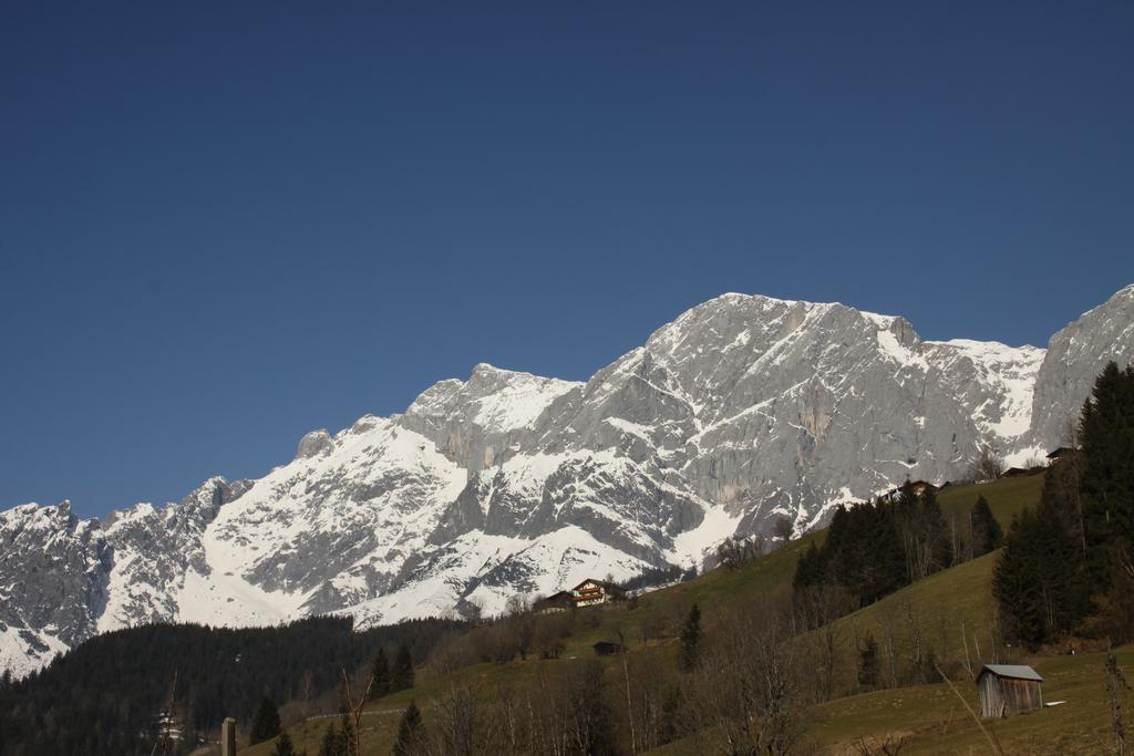 Alpendomizil Pia Apartment Mühlbach am Hochkönig Exterior foto